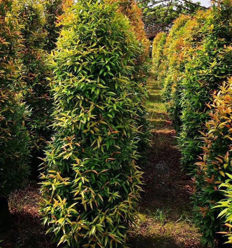 微信图片_20190810165302_看图王