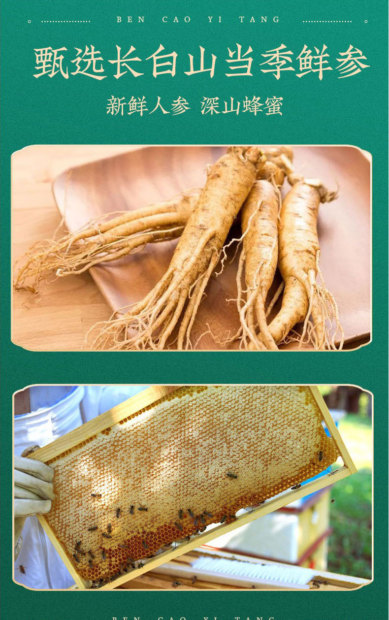 Ready to Eat Honey Ginseng Slices 65g Jar Portable Fresh Ginseng Slices for Tea in use