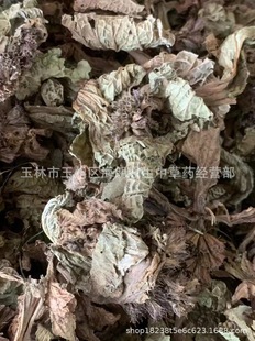 ��ș�Ī�һζ��ș�Ĵ�ʹ򲼰ͪ��в�ș��һζ�~Ұ��ܴ�������~��