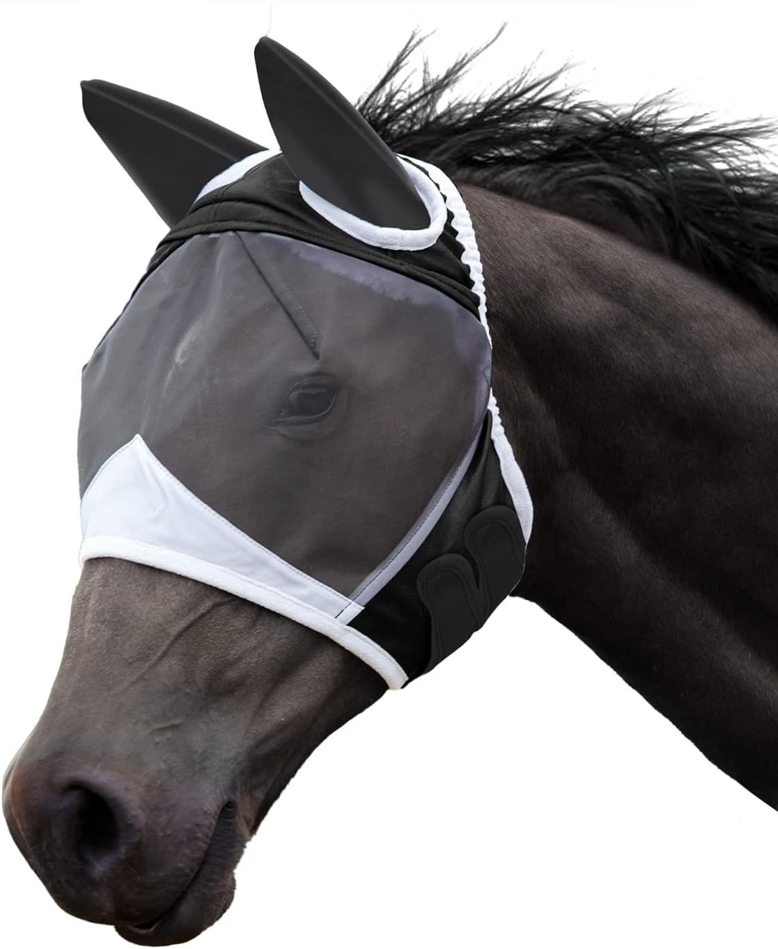 6161Pdfke9L._AC_SL1500_