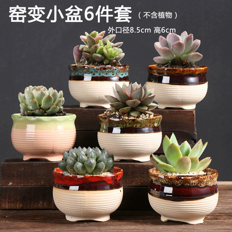 Creative Ceramic Flower Pot, Handmade Factory Direct, Assorted Decorative Designs, Small 7–10 cm