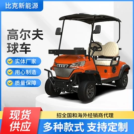 电动观光车;高尔夫球车;其他电源