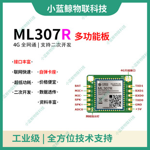 China Mobile Iot Ml307R Module with 4g Module Multi-Function Ai Remote Control Alarm