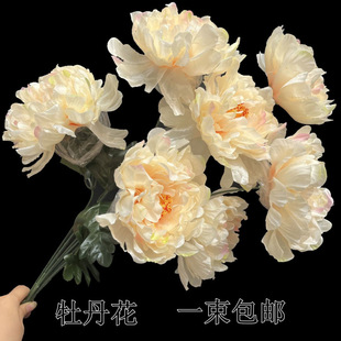 �����ω���Ĺĵ���������廨��֧�ջ�Ĺ��ǰ�[���軨������ĵ��