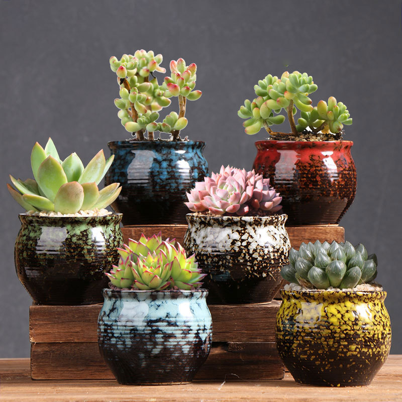 Nuevo emperador horno suculentas maceta balcón hogar carne planta cerámica especial arcilla pequeña olla fábrica directa al por mayor