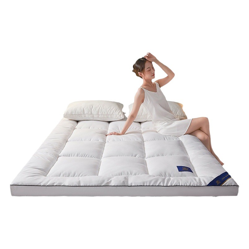 Five-Star Hotel Velvet Mattress Super Soft Thickeneded 10cm Soft Mattress Single and Double Home Mattress Quilt Student Mat