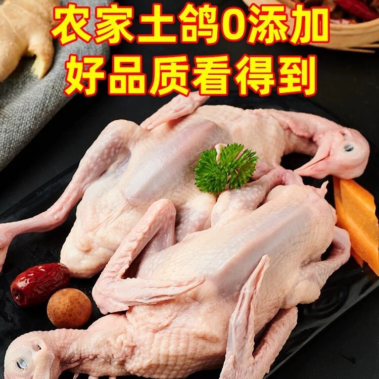4 Fresh Pigeon Fillets, Fresh and Frozen, Not Old Pigeons, Free-Range Farm-Raised, Freshly Killed, Semi-Finished Meat Pigeon Products