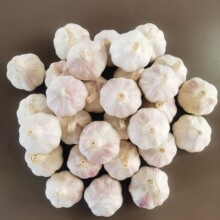 ��������  �tƤ����