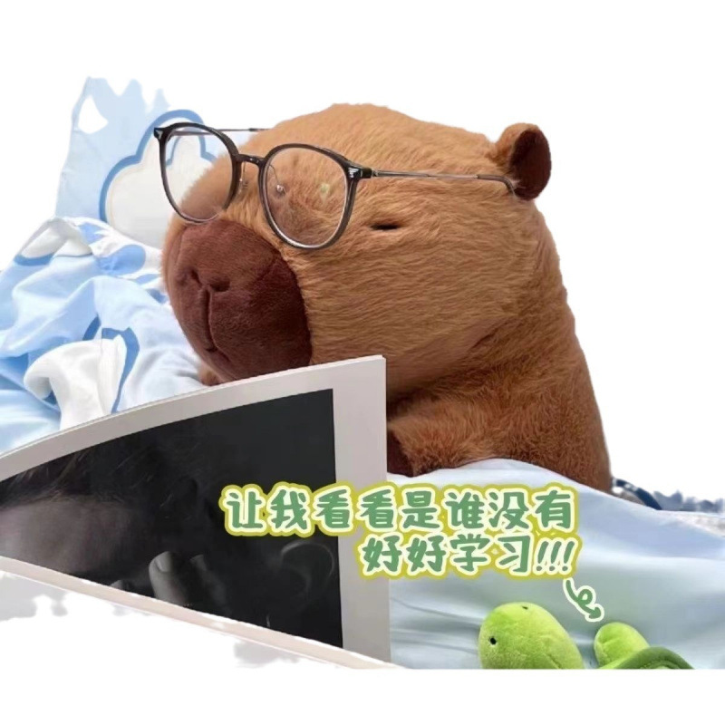 Muñeca capibara de tamaño super grande peluche lindo muñeca delfín de aguas feas muñecas creativas para regalos de chicas