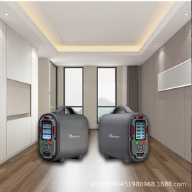 其他气体分析;气体检测仪;气体检测仪