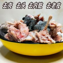2斤/袋 龟肉新鲜速冻草龟去壳去老皮去内脏去头酒店食材