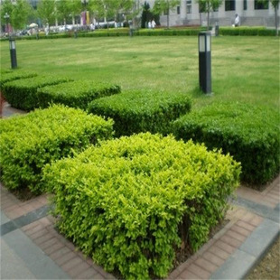 С�~Ůؑ����ֲ������h���ļ������ͺ�ͥԺ�G�����λ�����ľ���~