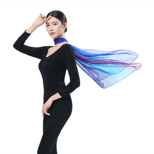 Women's Elegant Formal Wear Set for Etiquette Training: V-Neck Modal Latin Dance Practice Outfit for Model Walks