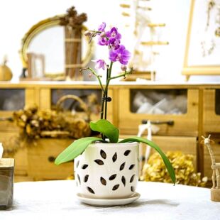 �մɺ����m���脓���U���OӋ͸���o���m����͏d�̨�Gֲ�Nֲ����