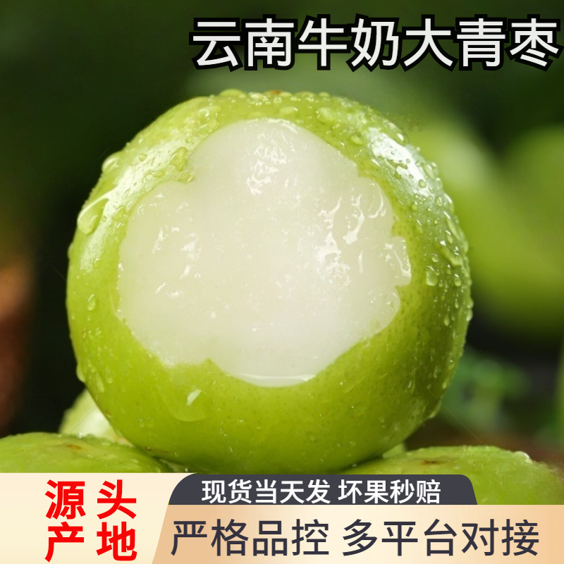 新鲜牛奶大青枣贵妃冬枣时令水果当青枣箱奶油脆枣包邮一件代发