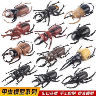儿童玩具摆件动物仿真模型甲虫楸型虫独角仙大兜虫万圣节整蛊道具