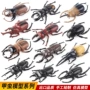 万圣节整蛊仿真儿童甲虫