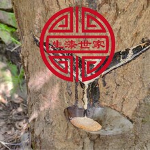 �Ĵ��Ƚ���Ȼ��������������ɽ���ľ��ľ��Ž���������