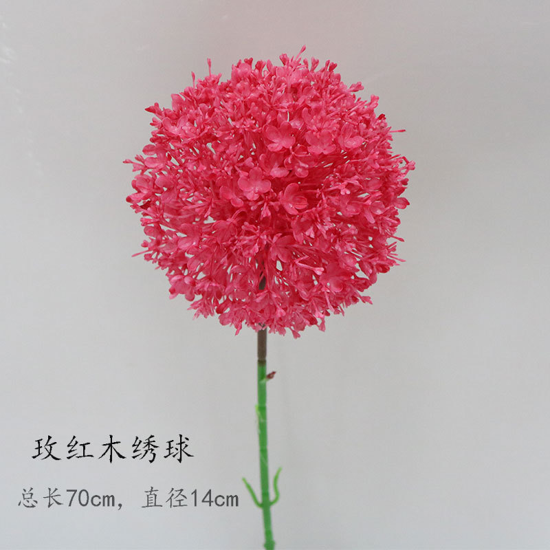 Hortensia de Rose Wood