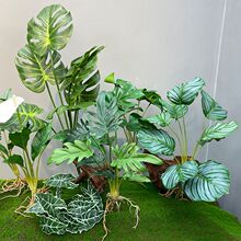 �¿�߷��������~�ָ��^�z����횰����Gֲ���b廨�[�Ŵ���С̖