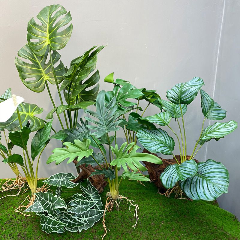 新款高仿真龟背叶手感过胶带根须把束绿植墙装饰插花摆放大中小号