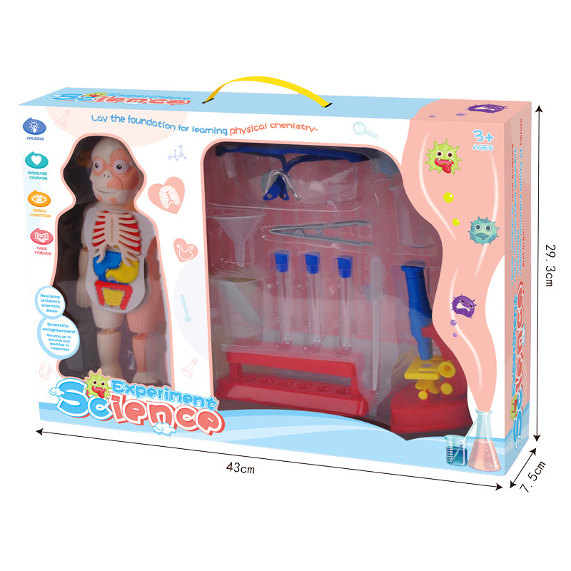 Nuevos niños Qizhi órgano humano modelo STEM ciencia y educación juguete DIY microscopio experimento científico traje