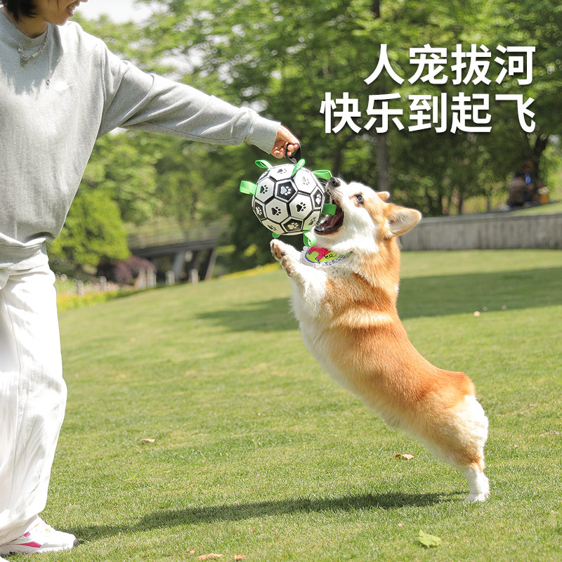 Perro de juguete Bola de borde animal auto-Hola entrenamiento de juguete al aire libre perro especial de fútbol resistente a mordeduras molares suministros para mascotas al por mayor