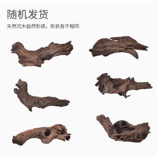 �~���쾰��ľ��Ȼ���x����ľ���ָ��쾰�ز�ɺ��ľ����ľ������̨