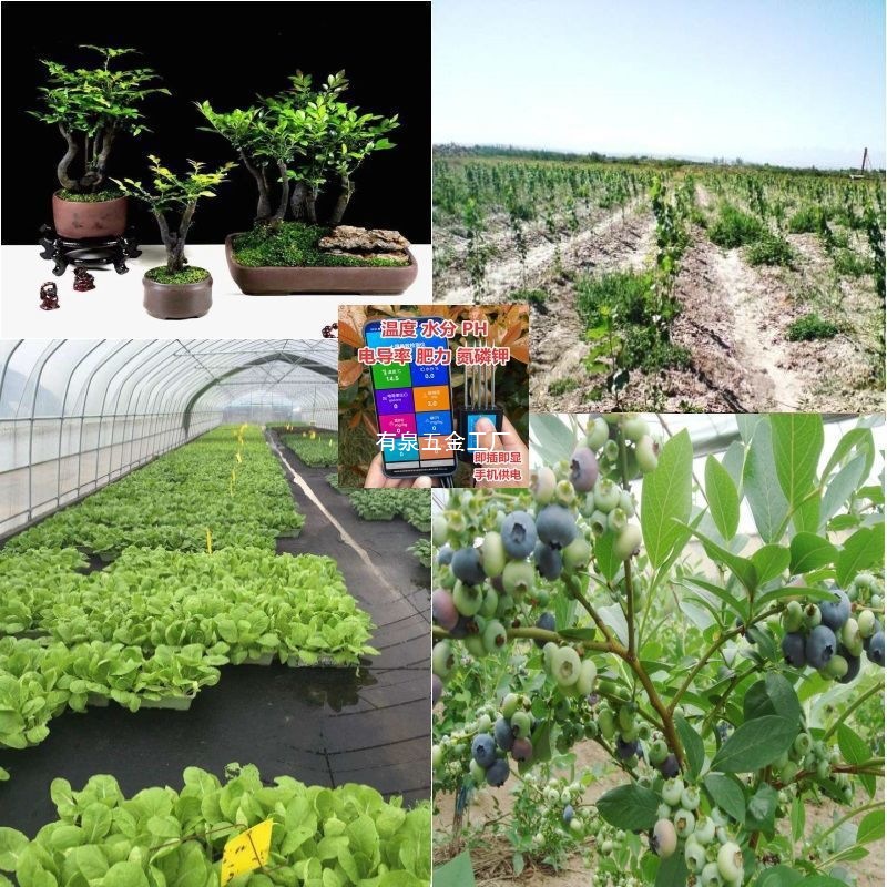 手机版USB土壤检测仪酸碱度氮磷钾温湿度电导率肥力农资人必备
