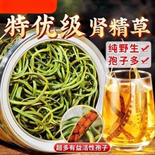 肾精茶长白山特产肾经草野生长白山嗷嗷叫黄金草化石草正旗舰店
