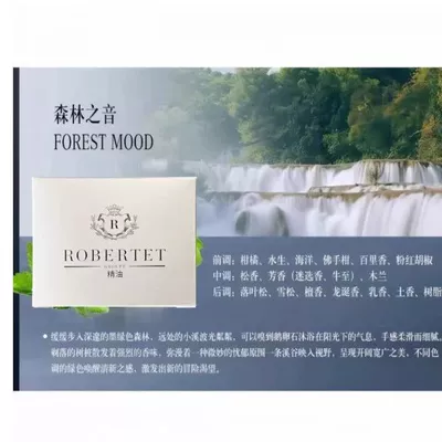 interior of E-Class, S-Class, and Maybach — Car Perfume Aromatherapy - mercedes-benz-special-refill-liquid-sound-of-the-forest-15ml-1-bottle