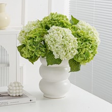 ָб佑򻨿͏dbٻĔz