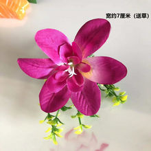 【杨兰花】_杨兰花品牌/图片/价格_杨兰花批发_阿里巴巴