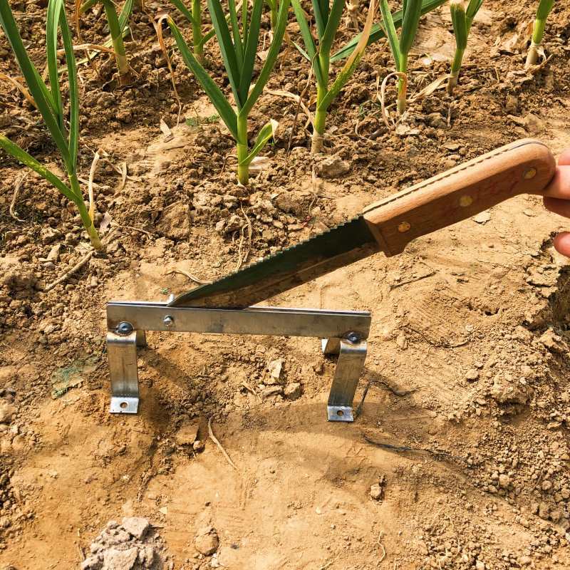 剪蒜大蒜剪刀铡蒜头蒜杆蒜须剪蒜剪子剪大蒜洋葱工具