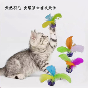 �羳��ë������␞���˶�؈����򻥄�؈�䌙�ﶺë����Ʒ������