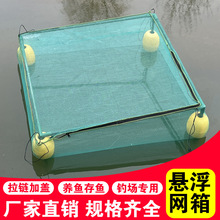 不伤鱼网箱漂浮 养殖箱钓鱼箱鱼护多功能垂钓立体支架一体式隔离