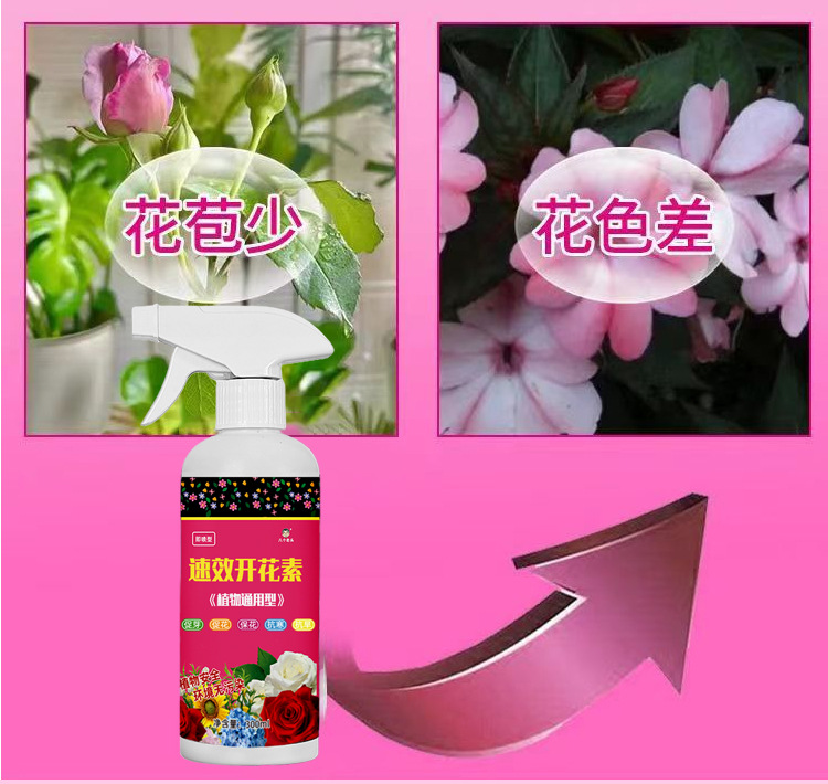 详情图