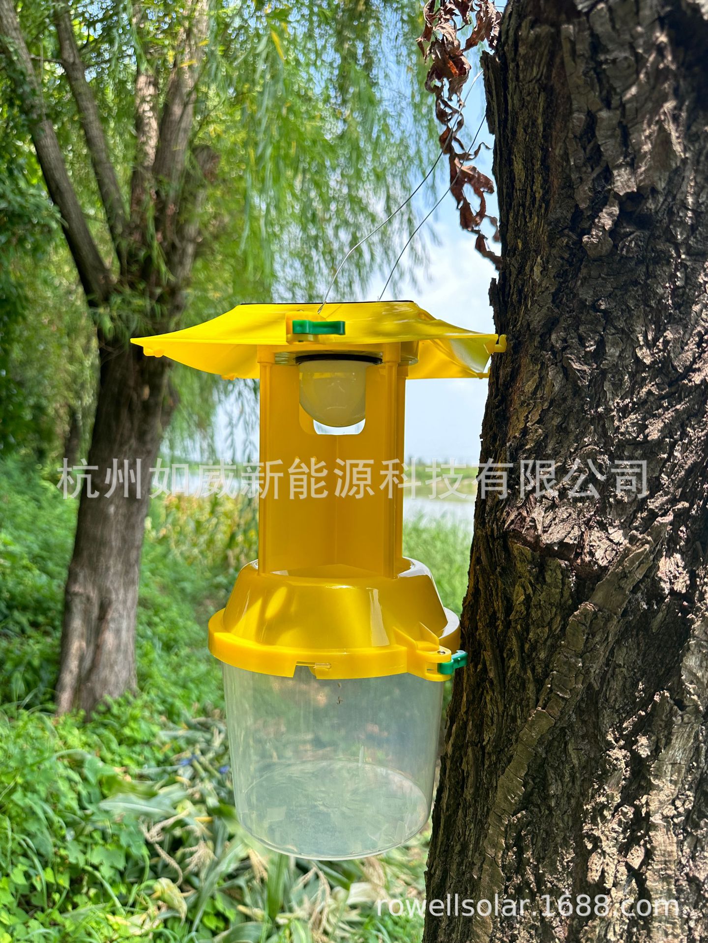 微信图片_20240813164928