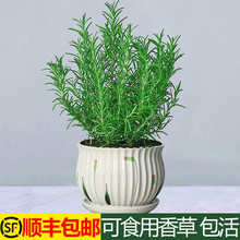 ��ʳ���Ե�������ţ������ݾGֲ���ɰ������҃����r����ֲ�ﻨ��