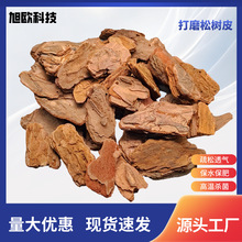 ���l��ĥ�ɘ�Ƥ���w���Ә�Ѩ���w�쾰�b�ľм�ЙC���w���@ͥԺ