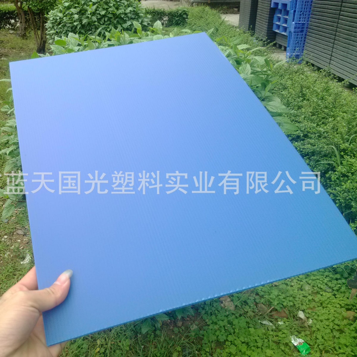 可按要求设计塑料中空板深圳塑料板多颜色多用途防紫外线隔板