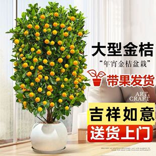 ������������ļ��_���Y�������҃���ؔ�ļ��̨�͏d�辰ֲ�����