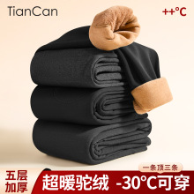 天蚕羊毛保暖裤女冬季内穿加厚加绒护膝护腰宽松大码中年驼绒棉裤