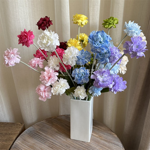 5�^�Nޱ�� ���滨��c����ֲ�q�ҾӔ[��ܽ�ؿ���ܰ�ٻ������ĵ��