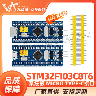 STM32F103C8T6ϵ�y�� ��Ƭ�C ���İ� STM32 MICRO TYPE-C�ӿ�