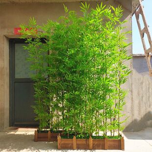 仿真竹子细水竹隔断屏风装饰客厅室内加密塑料假竹造景带梢细毛竹-阿里巴巴