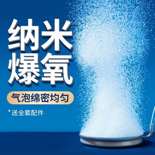 yee ��P���^����ñ����F����P����������ʯ�������ݱP