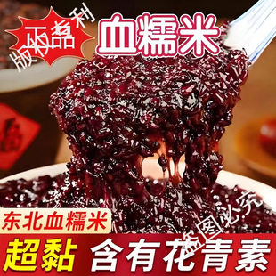 ѪŴ�׺����������ږ|������偰�����s�Z5�����̲�Ŵ�����׸�
