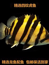 ���~���~��Ꭷ�^�p�~�K�T���D��ӡ���ļy��̩�����y�����~���~