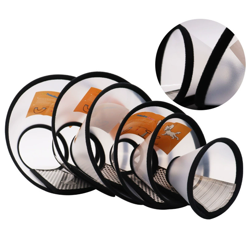 Собака Elizabeth Circle